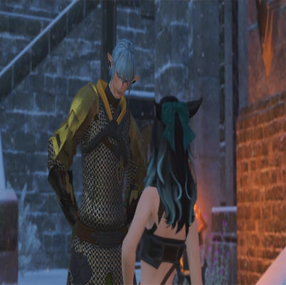 Haurchefant is confused by Kiana's lack of clothing. Haurchefant is confused by Kiana's lack of clothing.